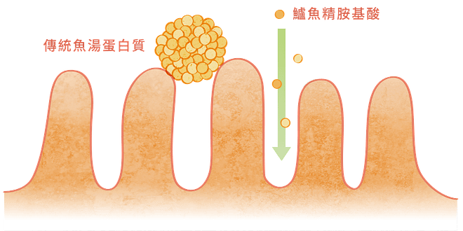 好好買 - 安永鱸魚精 24 img 1 5