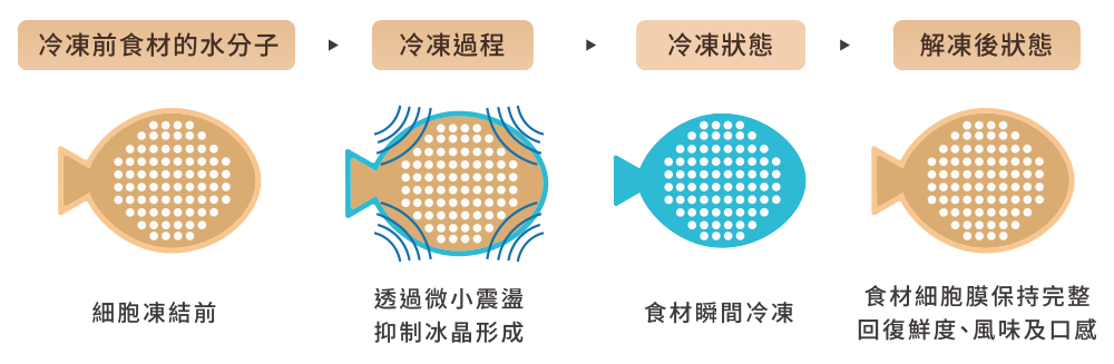 好好買 - 安永鱸魚精 20 photp 1 5